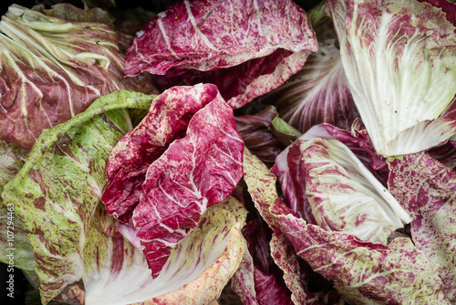 Fresh Red and Green Marbled Lettuce Leaves