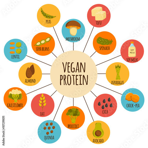 Vegan protein icons