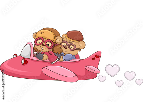 Bear Couple Airplane