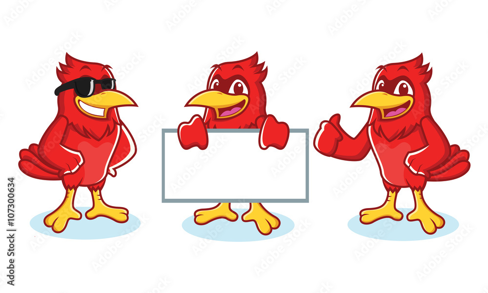 Strong cartoon red cardinal mascot clip art. Vector illustration