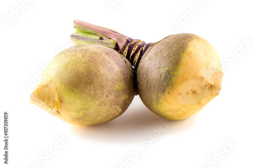 Bulbous swede turnip root plants on white photo