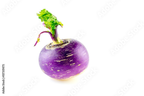 Bulbous shaped purple turnip on white