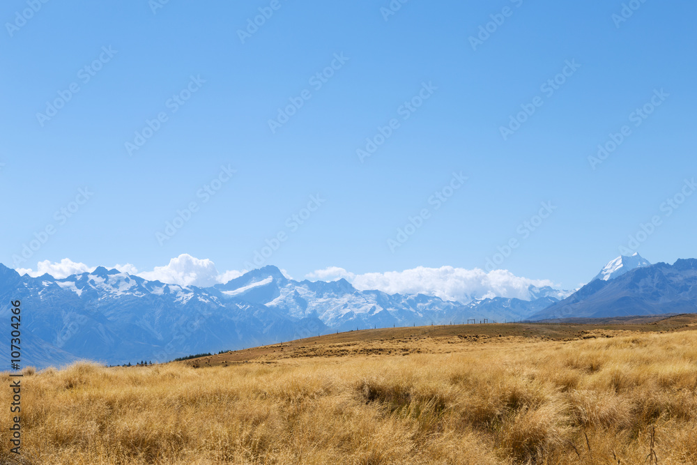 pasture near snow mountains in blue sky