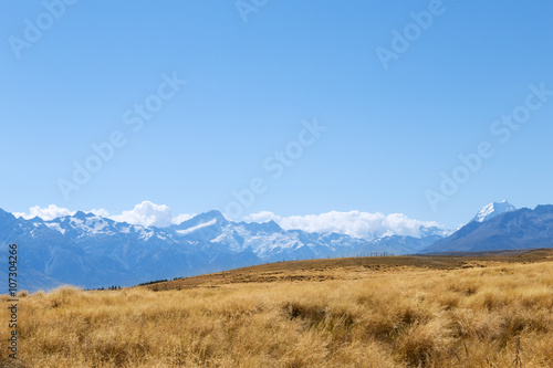 pasture near snow mountains in blue sky