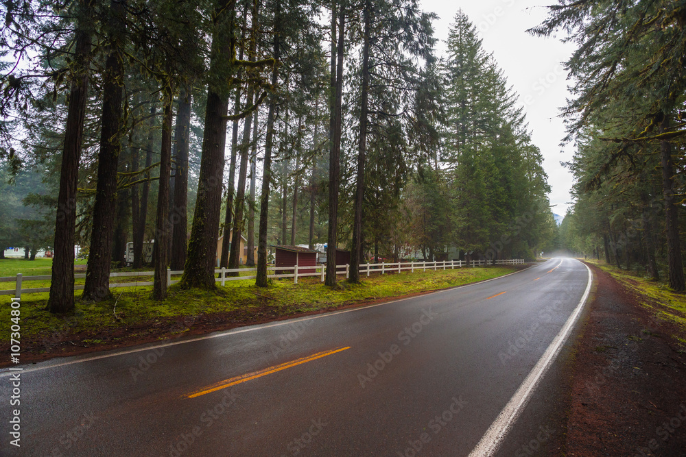 Naklejka premium Rural Highway Through Forest