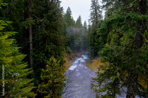 McKenzie River in Oregon