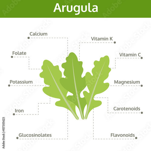 arugula nutrient of facts and health benefits, info graphic