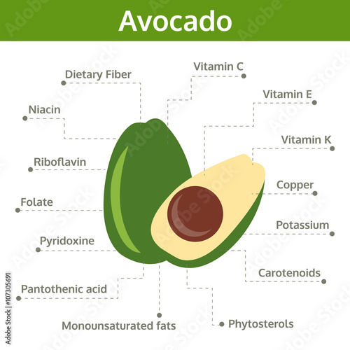 avocado nutrient of facts and health benefits, info graphic