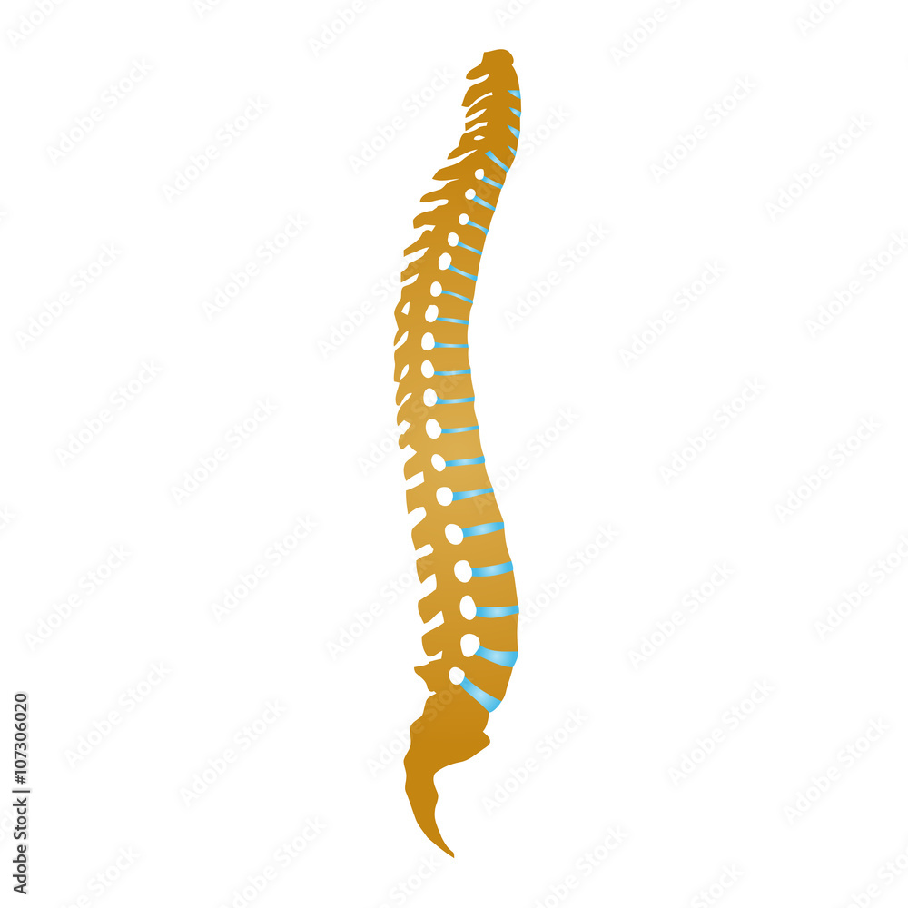 Wirbelsäule, Rücken, Orthopädie Logo Wirbelsäule, Rücken, Orthopädie Logo