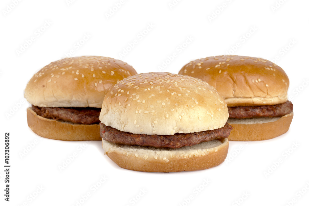 a tasty burger sandwiches