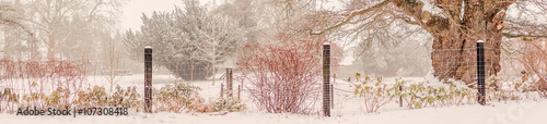 Fotografie Garden with a fence at wintertime