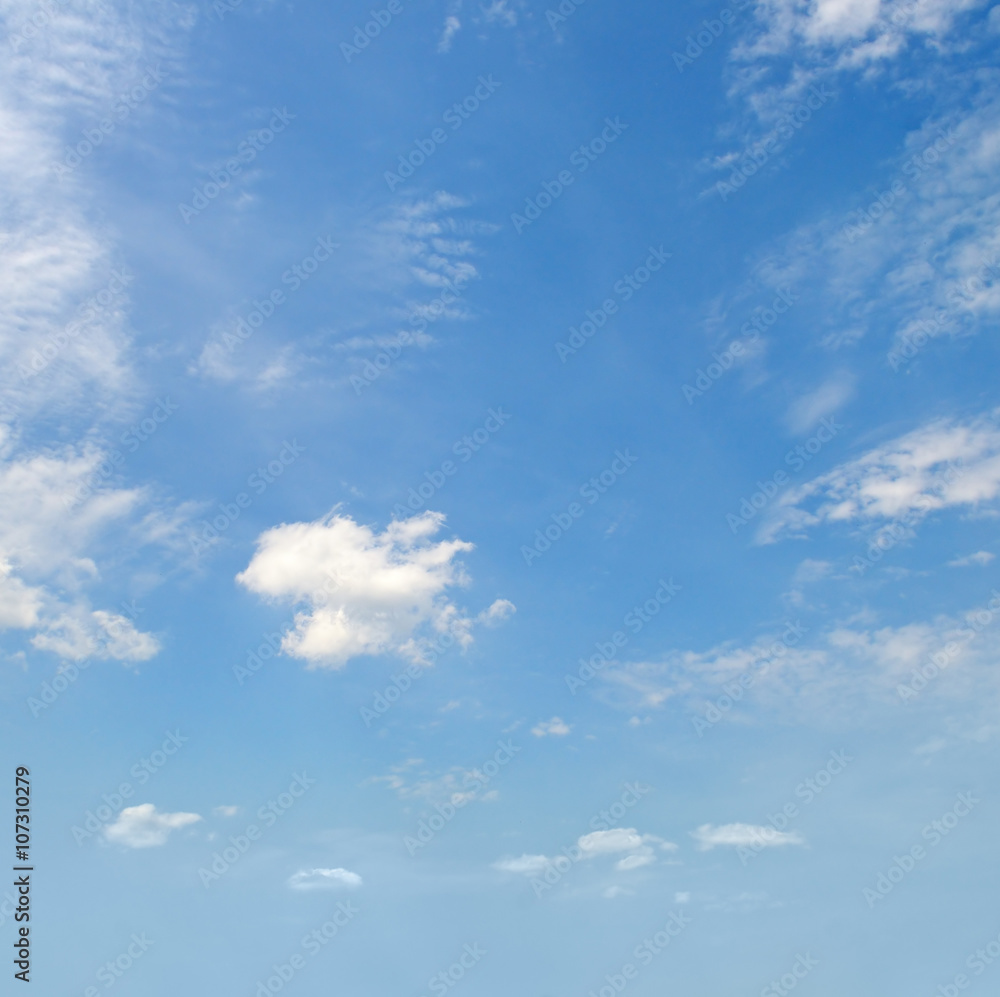 Fototapeta premium light cumulus clouds in the blue sky