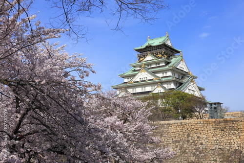 Osaka Castle and cherry blossom