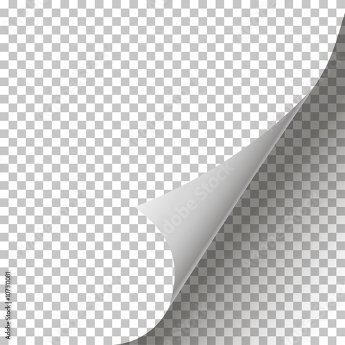 Curled Page Corner isolated background stylish design