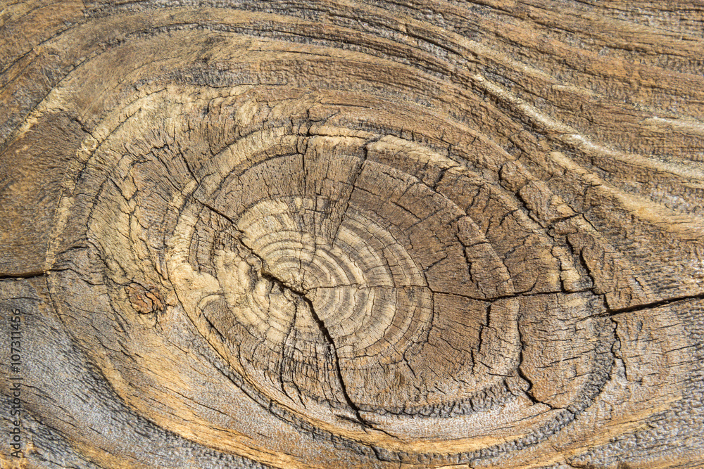 Naklejka premium nature wooden texture for natural background 