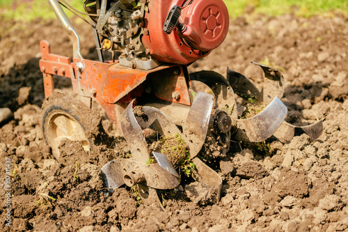 Preparing garden soil with cultivator tiller