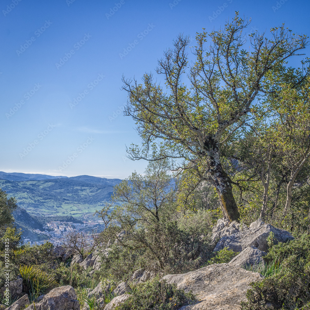 Rocky mountainside in Spain