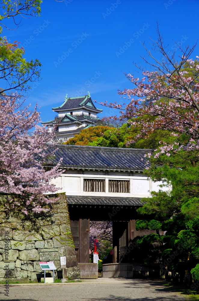 和歌山城と岡口門と桜