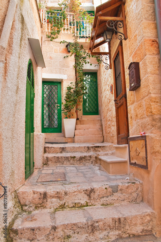 Naklejka premium Alleyway. Polignano a mare. Puglia. Italy 
