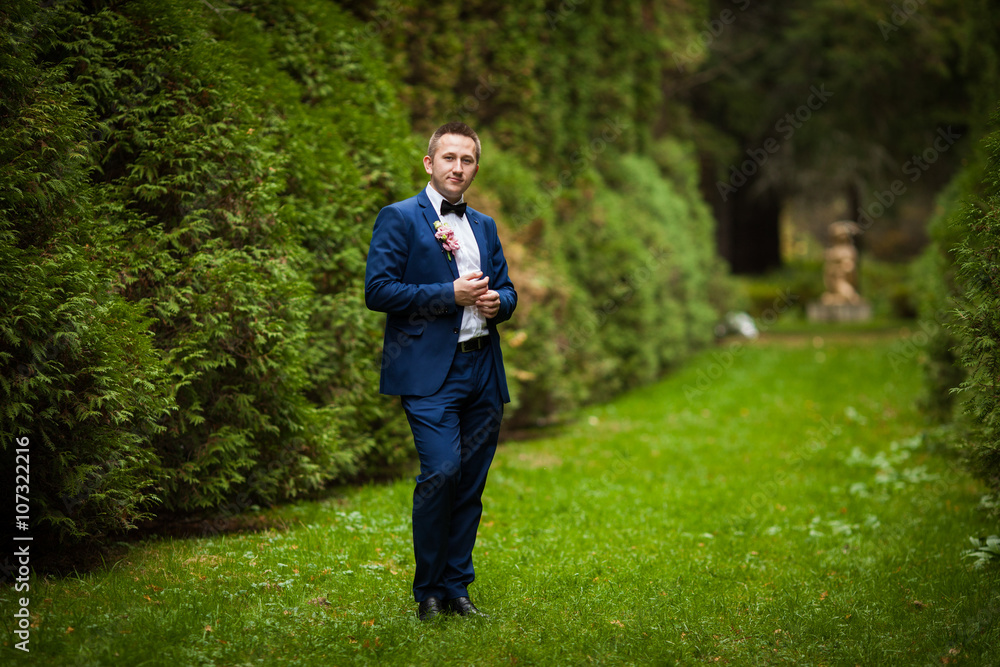 elegant stylish groom on the background of trees in the park elegant stylish groom on the background of trees in the park