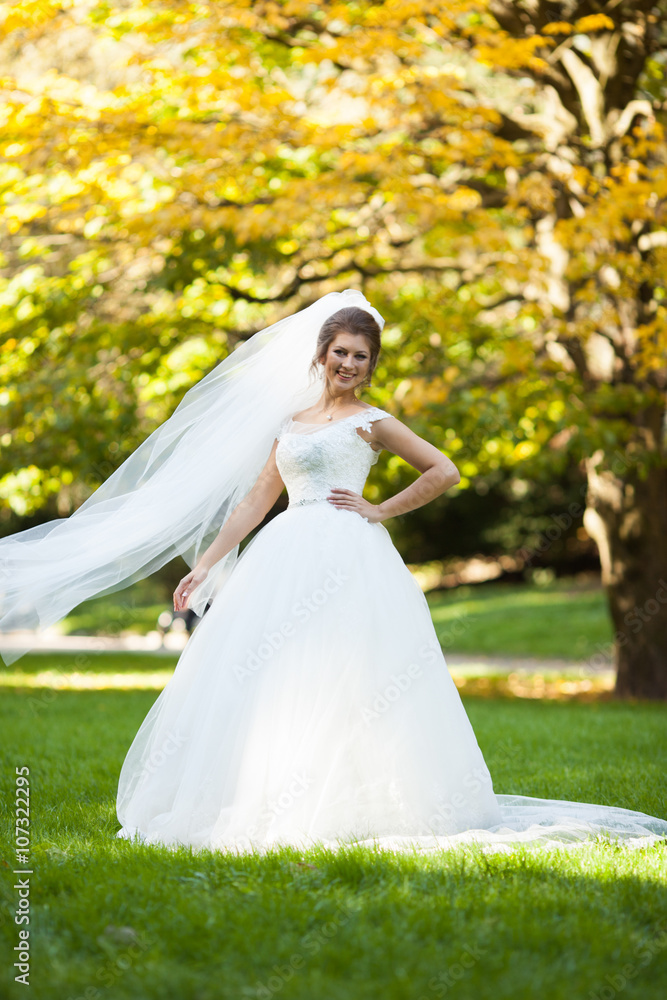 beautiful happy stylish bride  on the background of  beautiful t