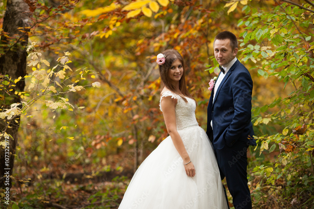 elegant stylish groom with his happy gorgeous brunette bride on elegant stylish groom with his happy gorgeous brunette bride on