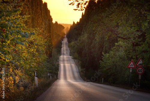 Italy, Tuscany, Castagneto Carducci, Bolgheri, Road and cypresse photo