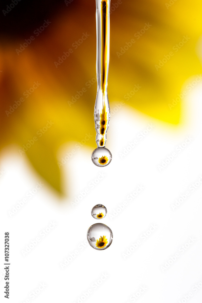 Fototapeta premium Girasole riflesso in gocce d'acqua