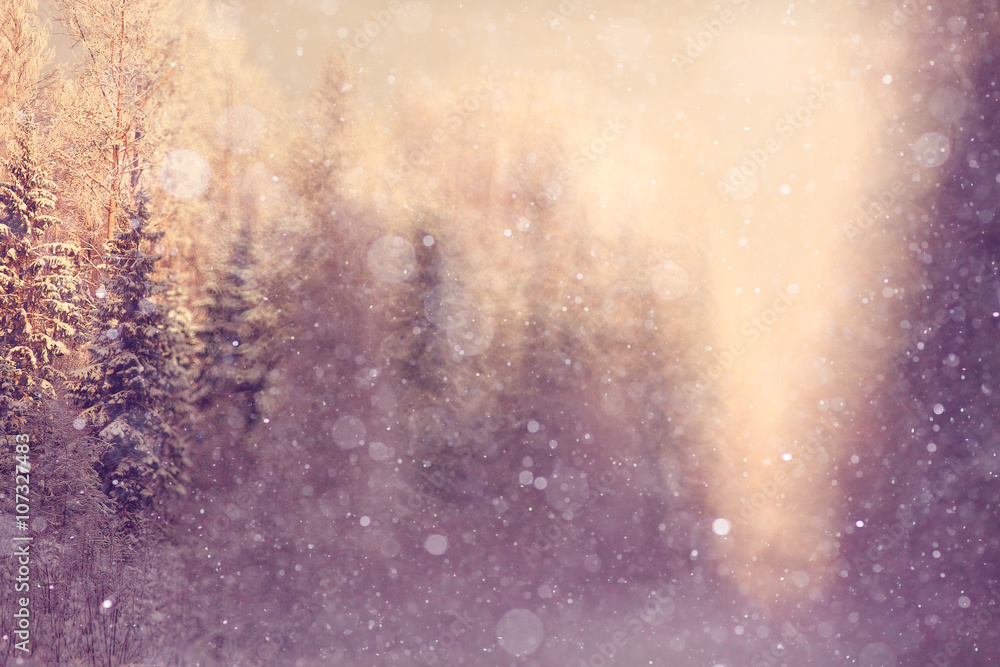 winter background blur forest snowflakes bokeh winter background blur forest snowflakes bokeh
