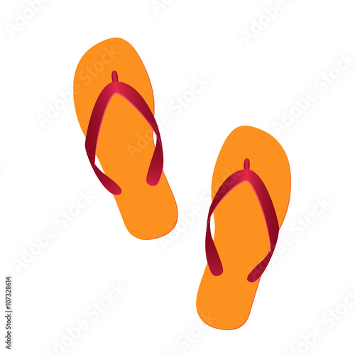 flip flops isolated