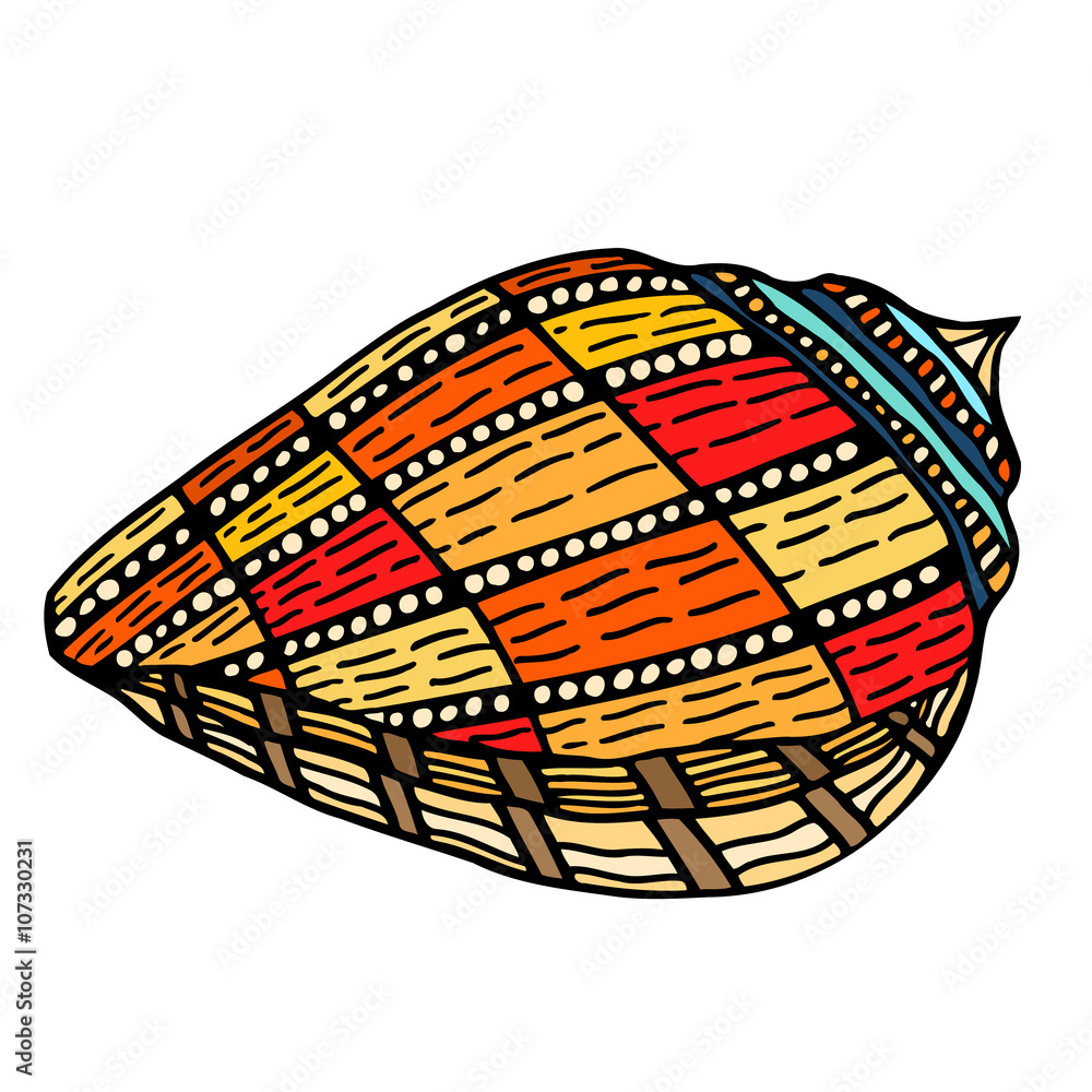 Obraz premium Seashell. Vector illustration.