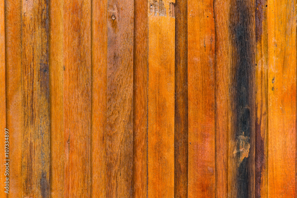 Texture of wood background closeup Texture of wood background closeup