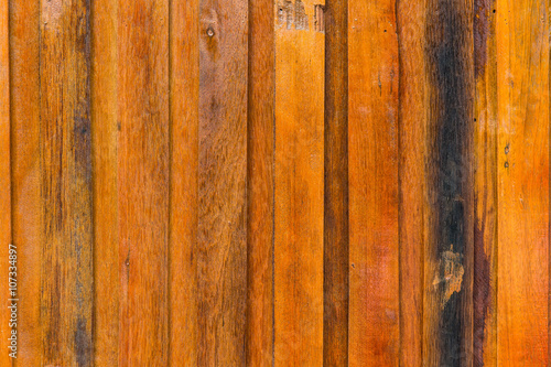 Texture of wood background closeup