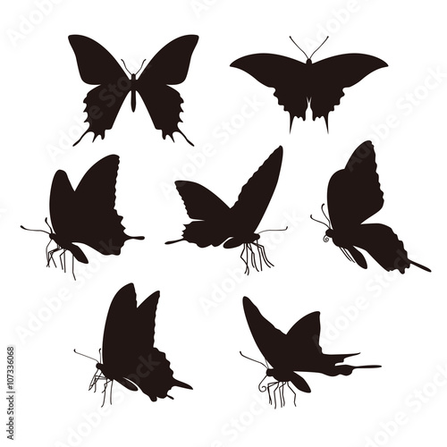 蝶のシルエット