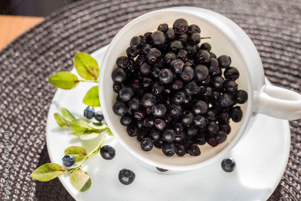White cup with blueberry and branch green on the table White cup with blueberry and branch green on the table