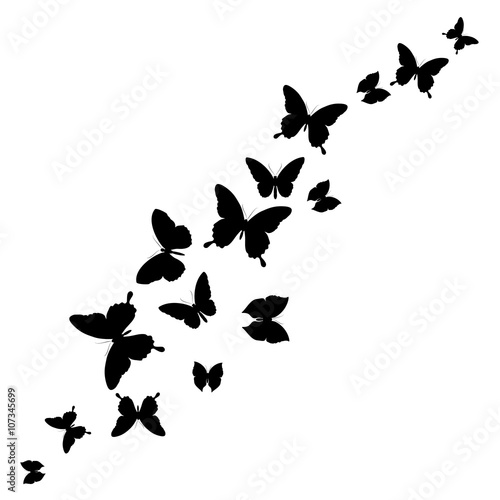 butterflies design