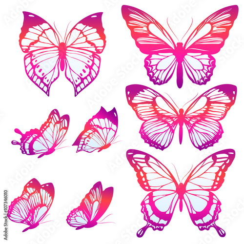 butterflies design