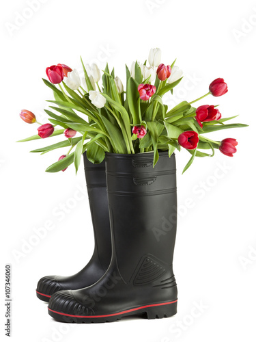 Fototapeta Naklejka Na Ścianę i Meble -  Tulip bouquet in black gum boots isolated