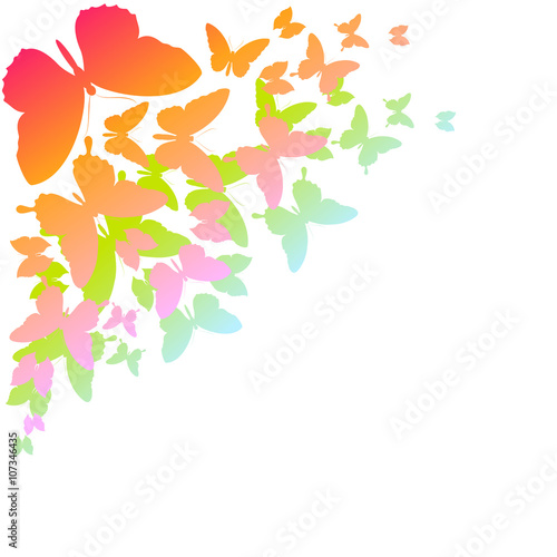 Wallpaper Mural butterflies design Torontodigital.ca