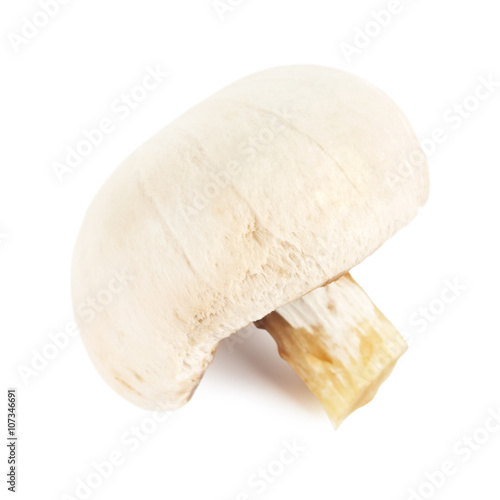 Fresh Peeled Champignon Mushroom