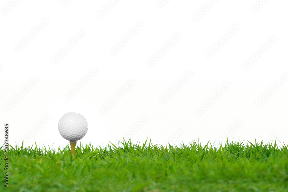 lengte gerucht Dynamiek Foto op Canvas Golfbal op groen gras dat op witte achtergrond wordt  geïsoleerd - Nikkel-Art.be