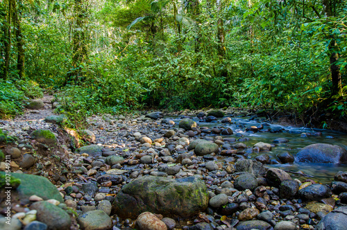 Small Amazon jungle sideriver with little water exposing rocks and circular shaped stones 