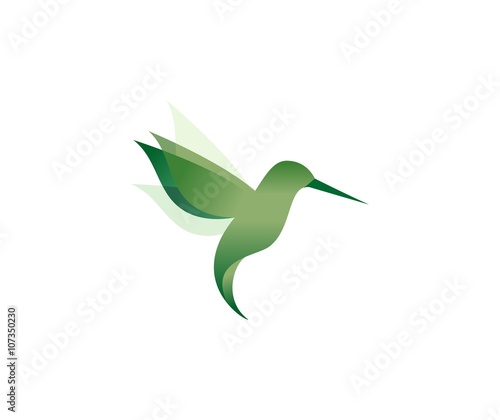 hummingbird logo