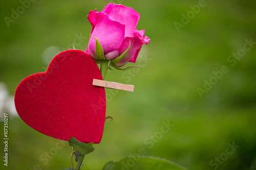 Tableau sur toile Pinkfarbene Rose mit Herz