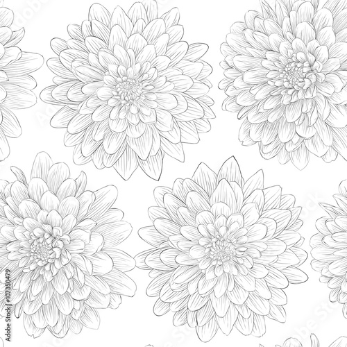 Fototapeta Naklejka Na Ścianę i Meble -  beautiful black and white seamless pattern in  dahlia