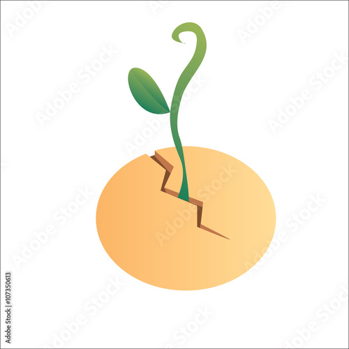seed icons that can be used for multiple images that fit with this icon