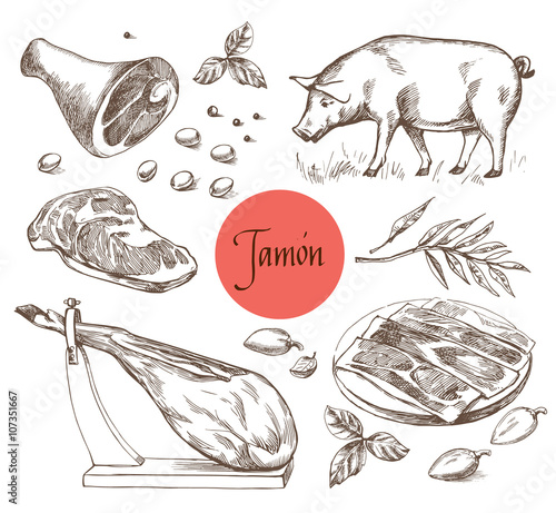 Jamon set. Black Iberian Pig, Jamon, Meat, Beef, spices for meat. Vector illustration in Vintage engraving style. Can be used for menu illustration, label or sticker image. Isolated