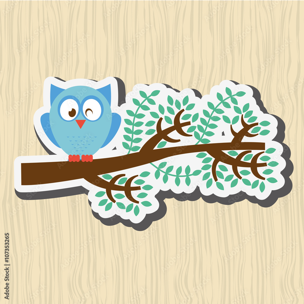 Fototapeta premium owl bird design