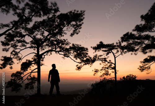 Silhouette of man standing under pine tree with sunset view. Phu