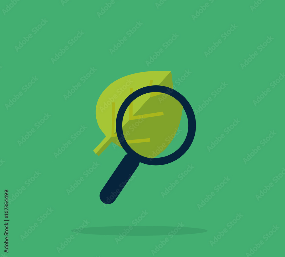 Magnifying Glass and Leaf, Education Concept Magnifying Glass and Leaf, Education Concept